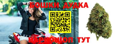 прущие грибы Обь
