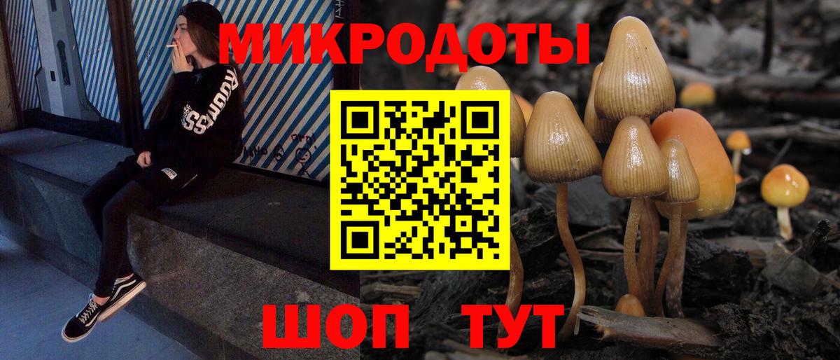 Тихвин  Псилоцибиновые грибы Psilocybine cubensis  Вход с VPN 