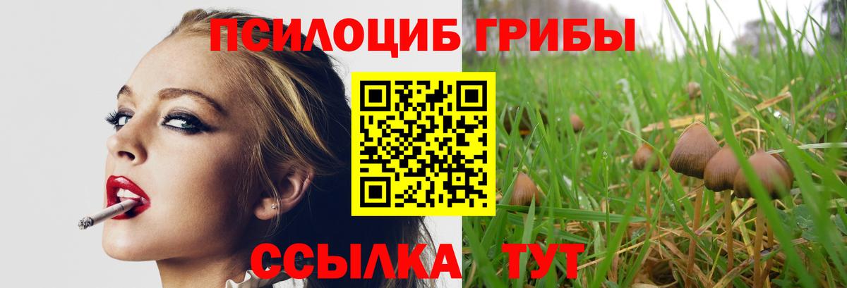 Галлюциногенные грибы прущие грибы Тихвин